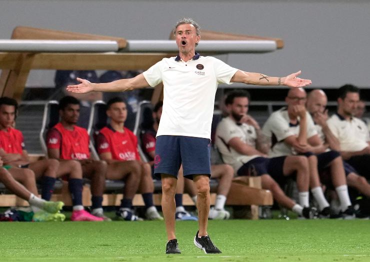 Luis Enrique, tecnico del PSG